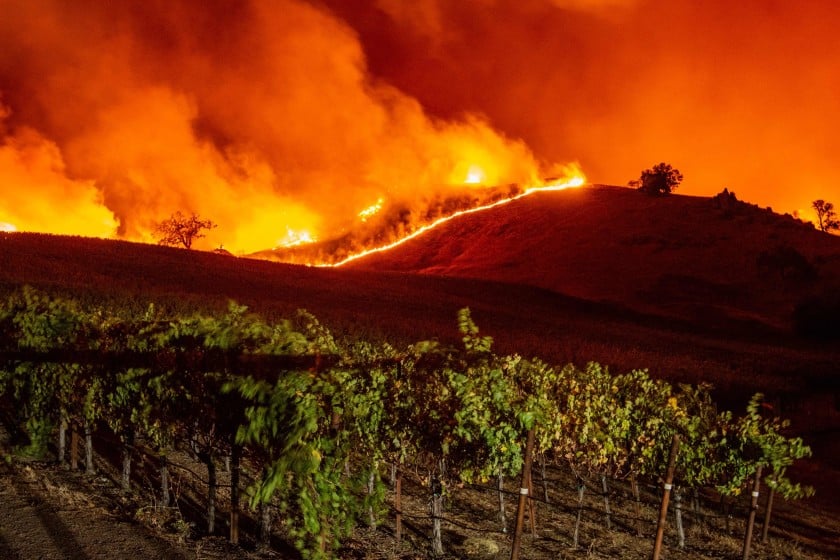 Fire in a Napa County, CA, vineyard.