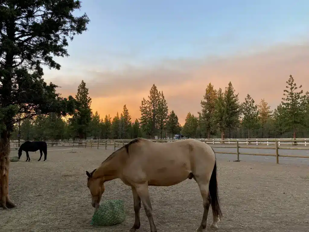 Smoke from the Grandview fire fills the sky over Sisters.