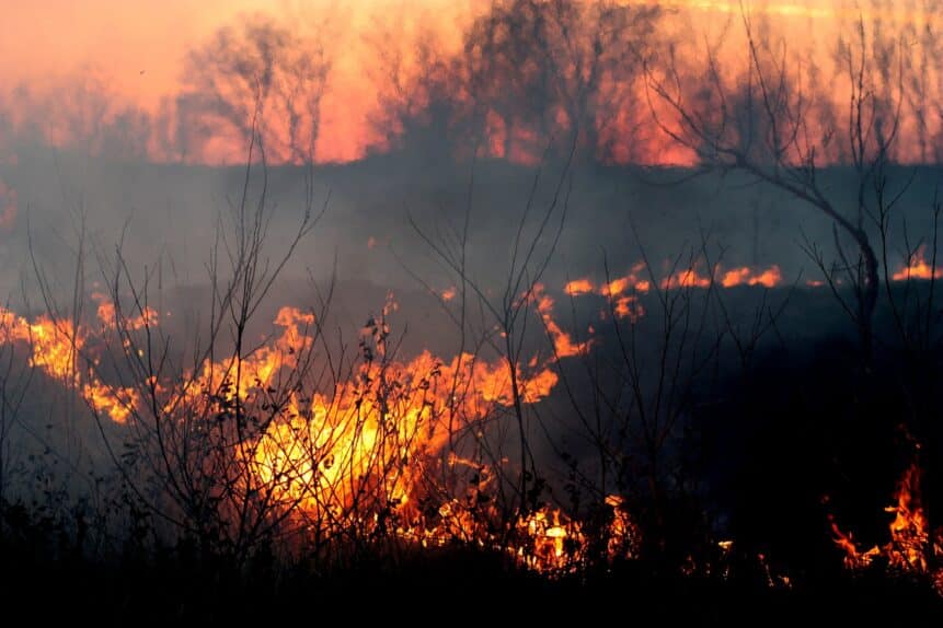 Emergency Communications Solutions During Natural Disasters Deep in East Texas