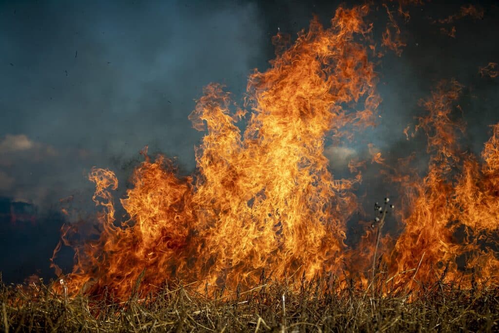 Bright orange flames engulf dry grass and plants as dense smoke rises, highlighting the intensity and destruction of fast fires. First responders may face significant challenges in managing evacuation during such emergencies.