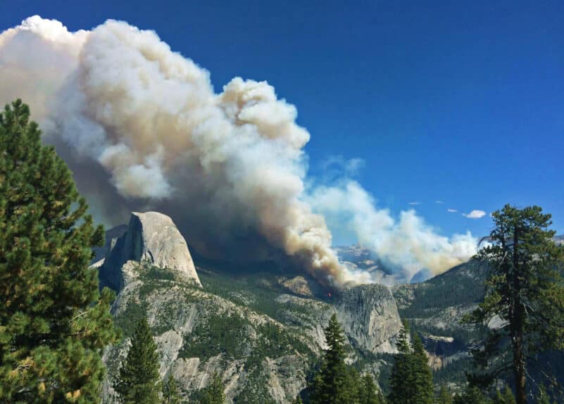 Unveiling the Potential of Wildfire Simulation During Evacuations
